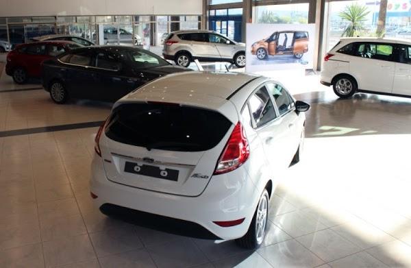 Imagen 25 Nexo Centro Veterinario Punta foto