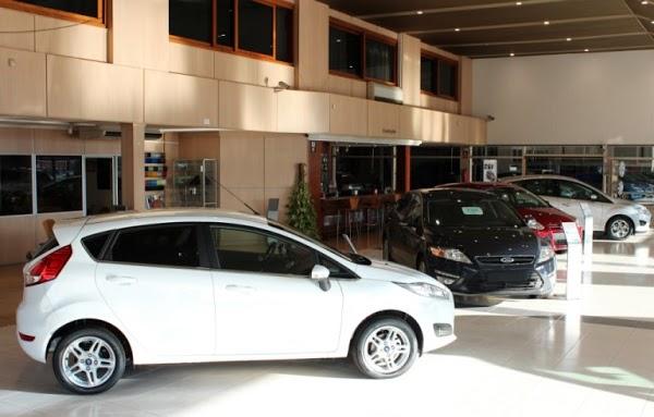 Imagen 26 Nexo Centro Veterinario Punta foto