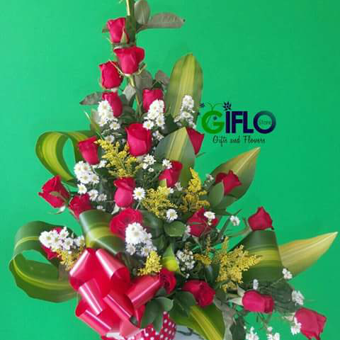 Imagen 43 Nexo Centro Veterinario Punta foto