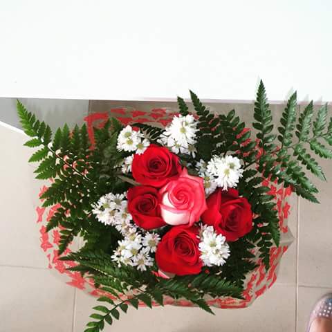 Imagen 44 Nexo Centro Veterinario Punta foto