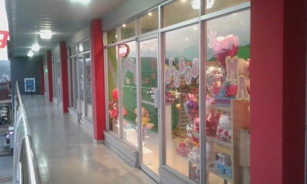 Imagen 46 Nexo Centro Veterinario Punta foto