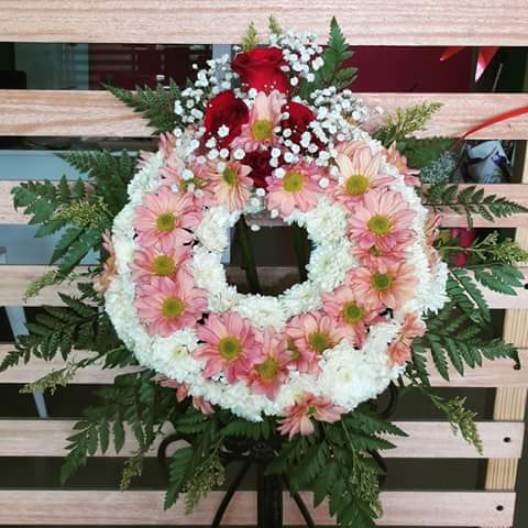 Imagen 49 Nexo Centro Veterinario Punta foto