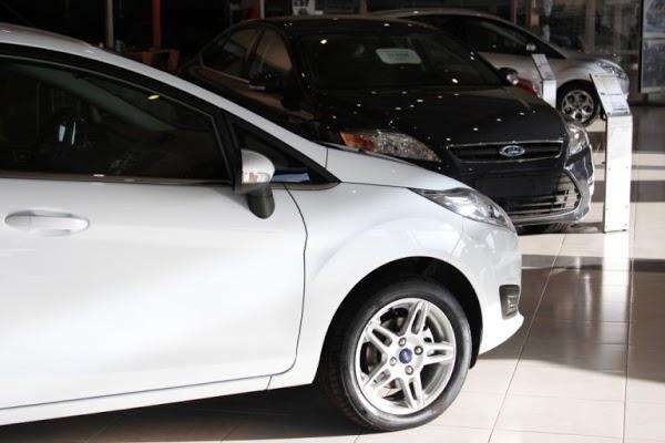 Imagen 7 Nexo Centro Veterinario Punta foto