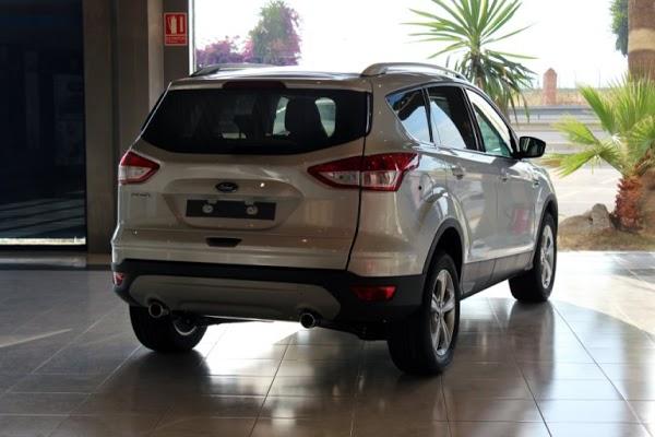 Imagen 9 Nexo Centro Veterinario Punta foto