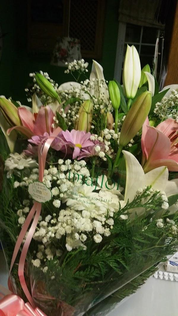 Imagen 31 Garage Castellon, S.L. foto