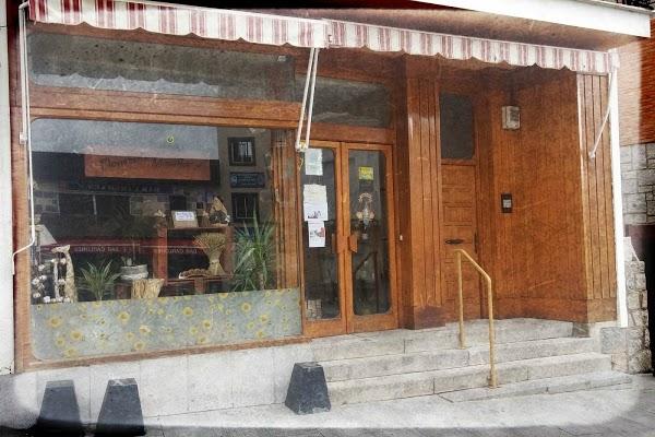 Imagen 37 Garage Castellon, S.L. foto