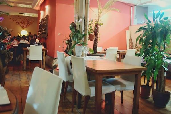 Imagen 8 Transportes Novara foto