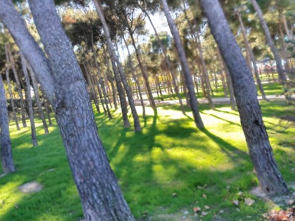 Imagen 36 Casas Sabaters foto