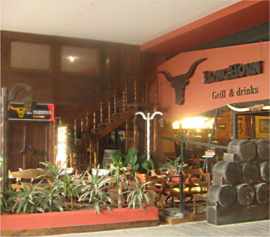 Imagen 17 El Tenique foto