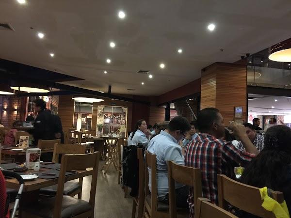 Imagen 18 El Tenique foto