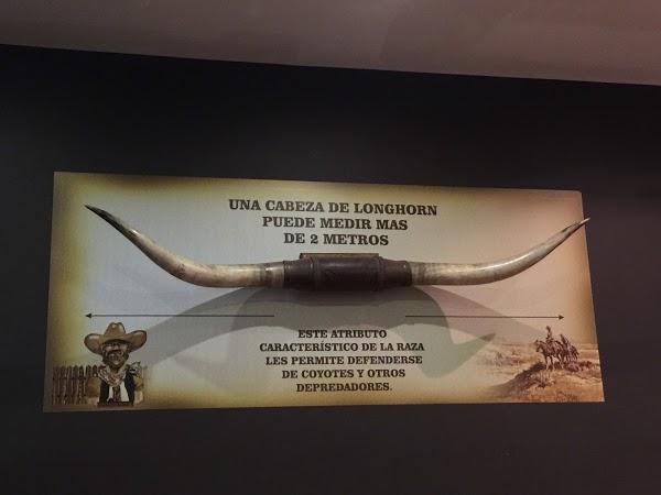 Imagen 25 El Tenique foto