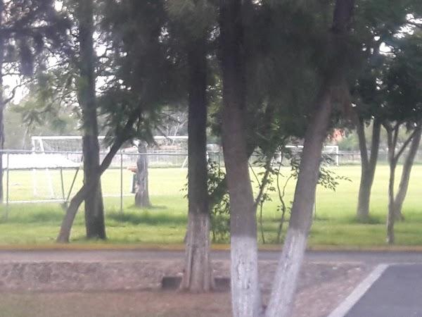 Imagen 32 El Tenique foto