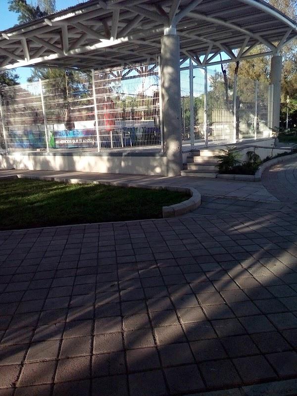 Imagen 35 El Tenique foto