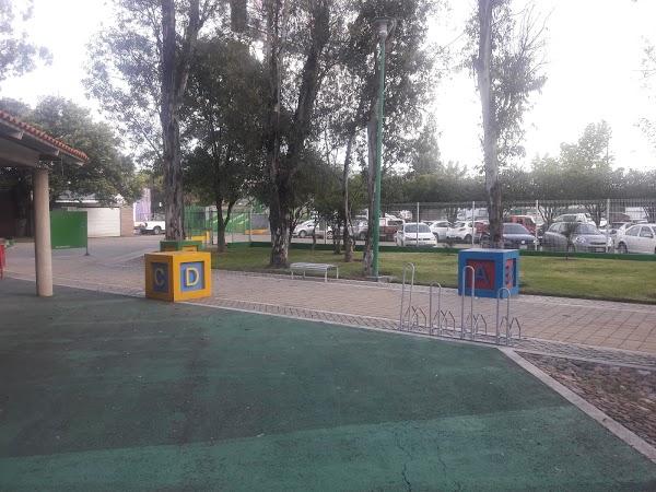 Imagen 38 El Tenique foto