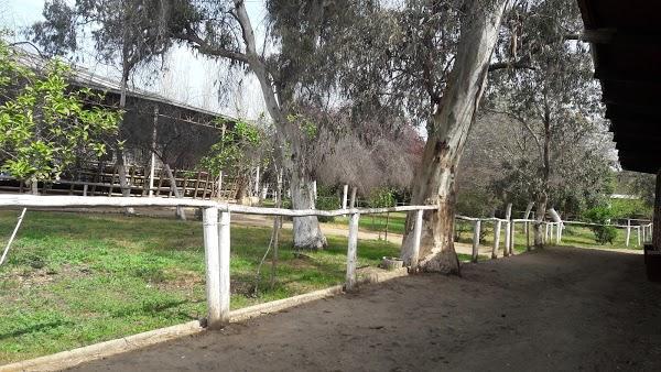 Imagen 40 El Tenique foto