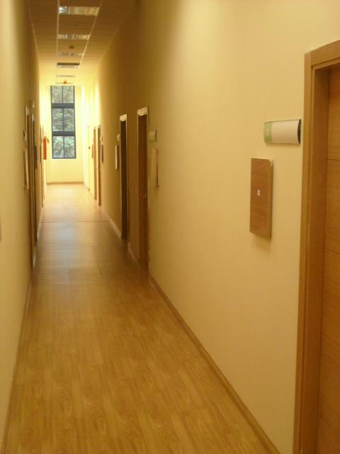 Imagen 9 El Tenique foto