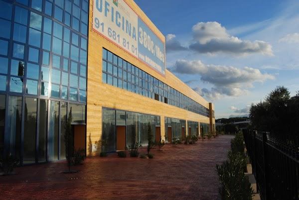 Imagen 10 El Tenique foto