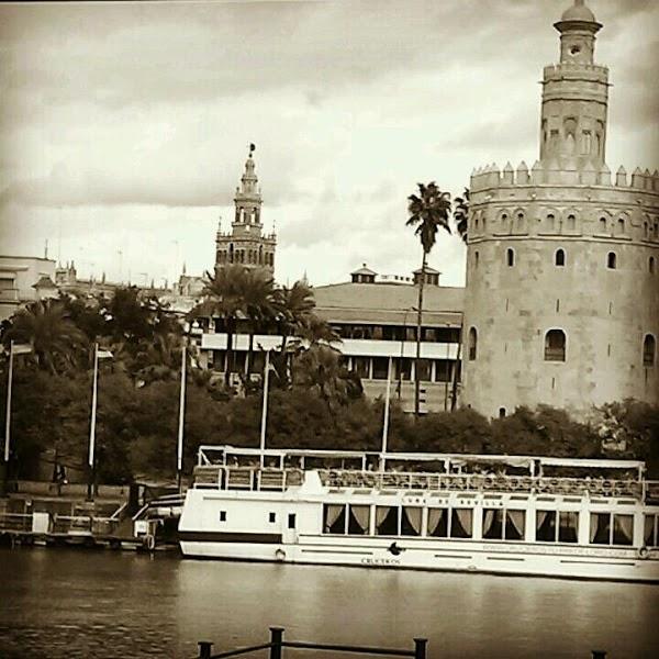 Imagen 12 PAREF-Southridge School, Inc. foto