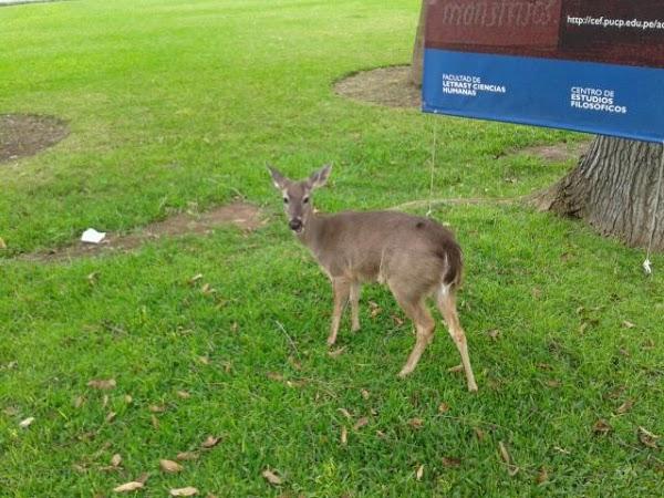 Imagen 7 Centro Privado de Educación Infantil Un Dos Tres foto