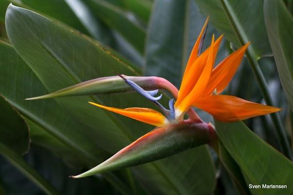 Imagen 6 PS Dental foto