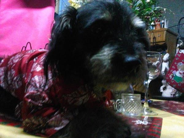 Imagen 3 TALLER MECANICO ARTESANAL CLIFILSA foto