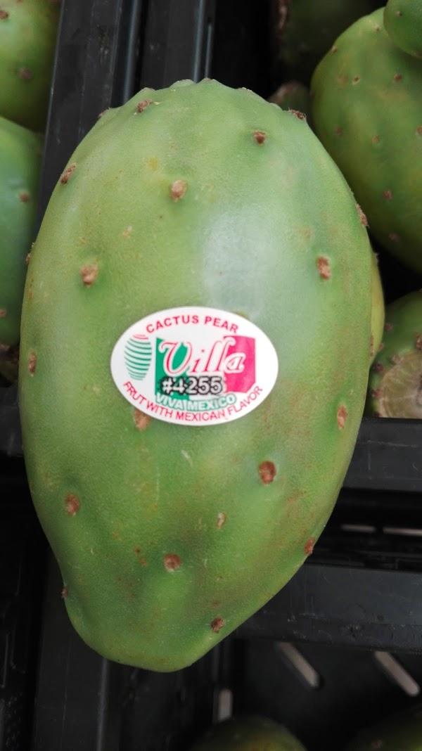 Imagen 30 Villa Esperanza foto