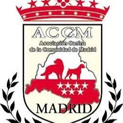 Imagen 18 Bona foto