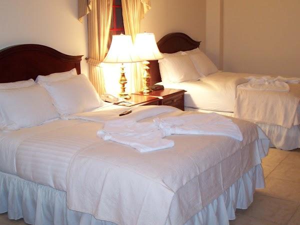 Imagen 14 La Palatera Ice Cream Parlor foto