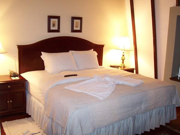 Imagen 18 La Palatera Ice Cream Parlor foto