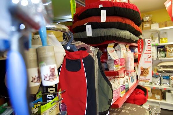 Imagen 12 ALONSO HIPERCAS, S.A. foto