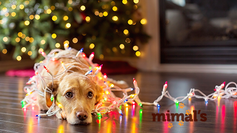 Imagen 15 ALONSO HIPERCAS, S.A. foto