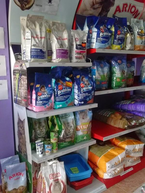 Imagen 70 Peluquería canina Duno foto