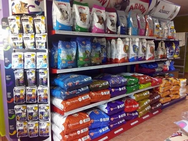 Imagen 71 Peluquería canina Duno foto