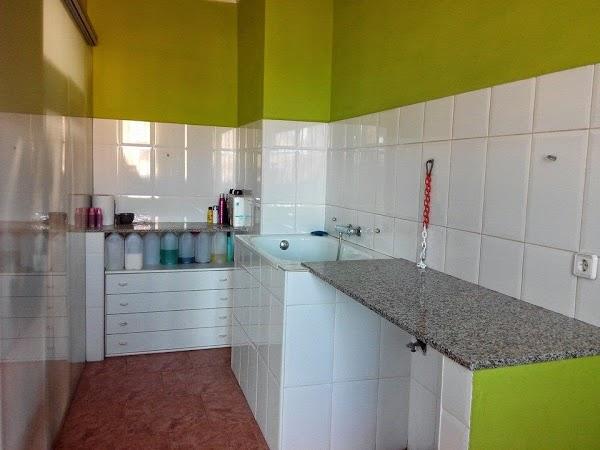 Imagen 72 Peluquería canina Duno foto