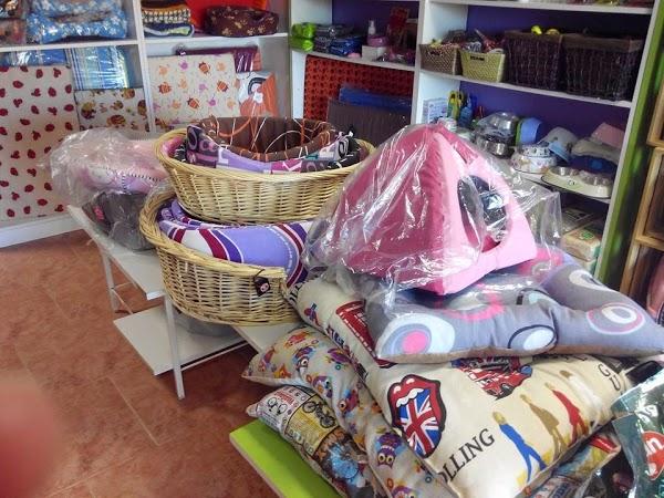 Imagen 73 Peluquería canina Duno foto