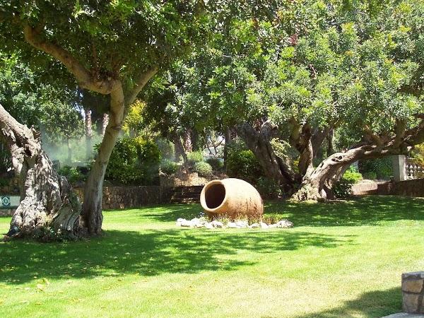 Imagen 12 Cafe Rebeca Benicasim foto