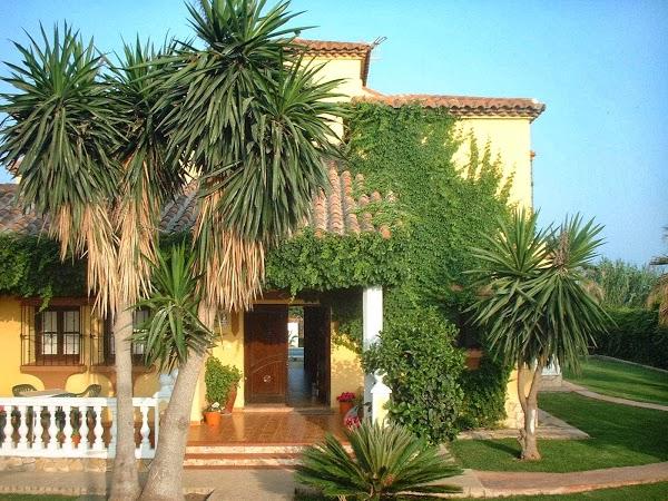 Imagen 4 Cafe Rebeca Benicasim foto