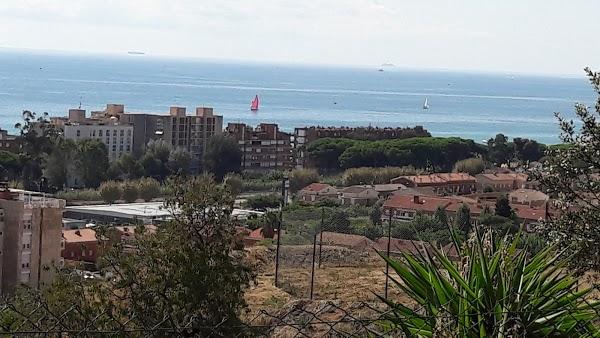 Imagen 37 Cafe Rebeca Benicasim foto