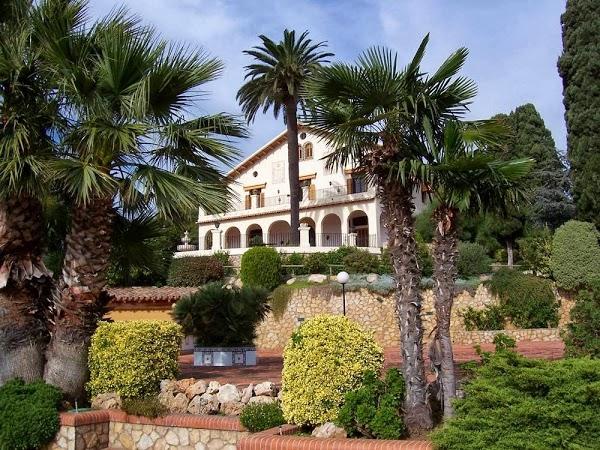 Imagen 54 Cafe Rebeca Benicasim foto