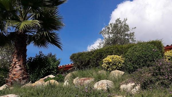 Imagen 61 Cafe Rebeca Benicasim foto