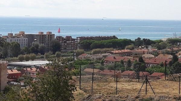 Imagen 71 Cafe Rebeca Benicasim foto