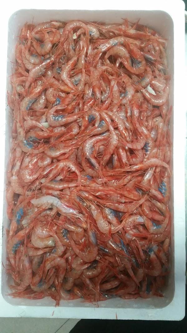 Imagen 111 La Pesquera de Madrid Casa de Campo foto