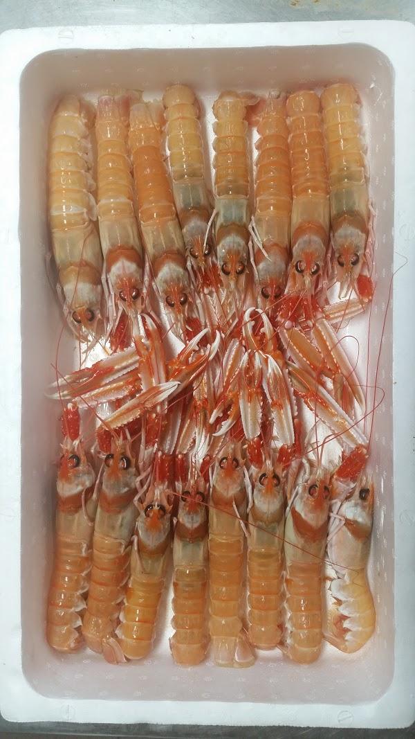 Imagen 113 La Pesquera de Madrid Casa de Campo foto