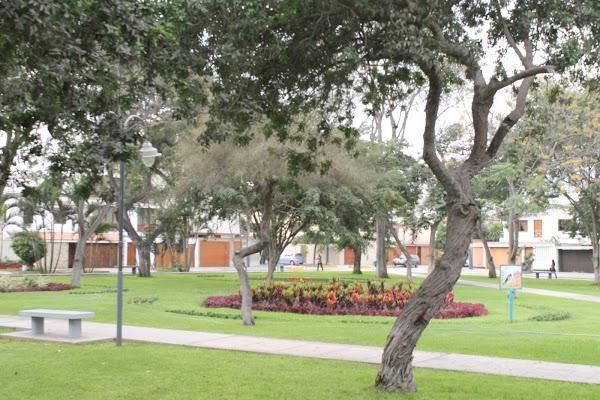 Imagen 6 Apartamentos Caribe foto