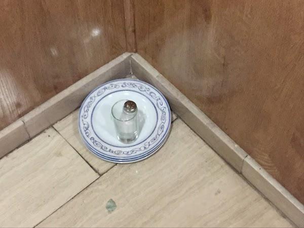 Imagen 48 Jardins Can Sumarro foto