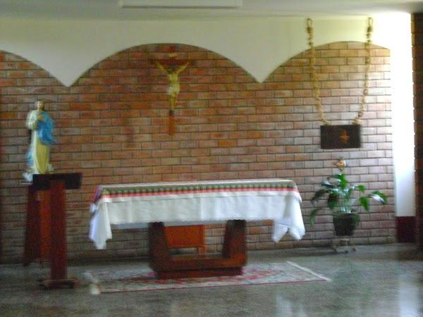 Imagen 46 Servi Fiesta foto