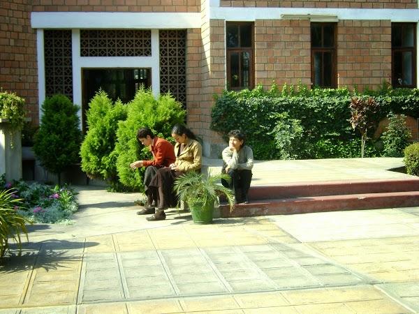 Imagen 47 Servi Fiesta foto