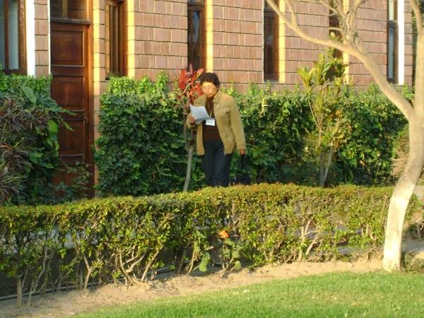 Imagen 48 Servi Fiesta foto