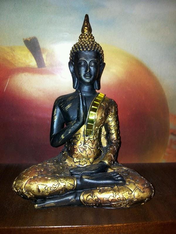 Imagen 12 ECOPEST, S. L. foto