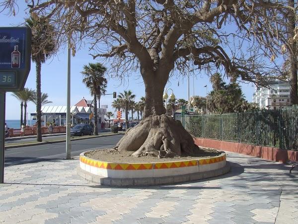 Imagen 7 Col.legi St. Gabriel foto